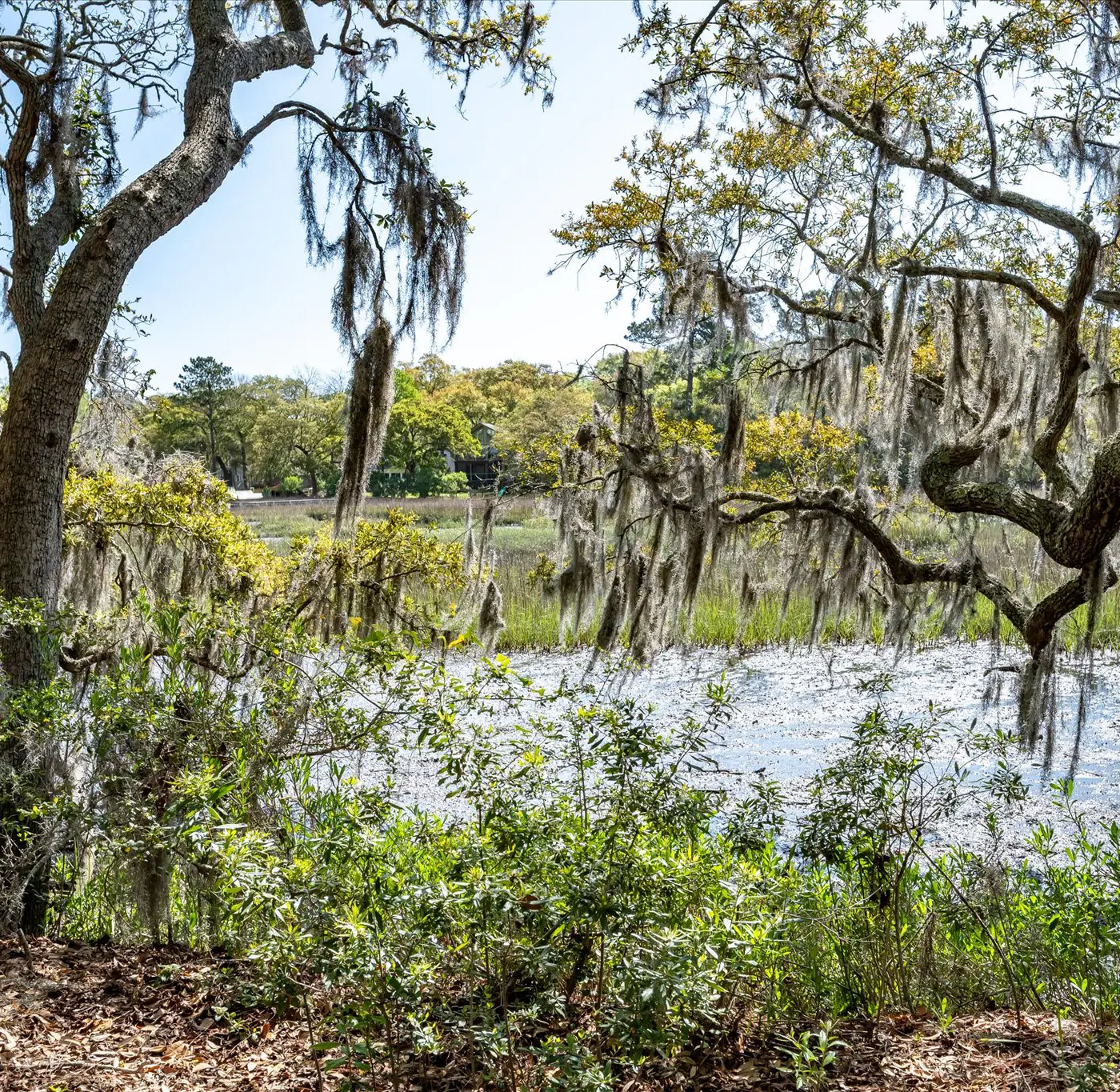 Modern, Dog-Friendly Marsh Retreat