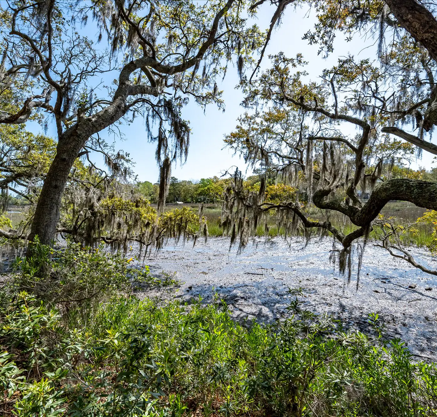 Modern, Dog-Friendly Marsh Retreat