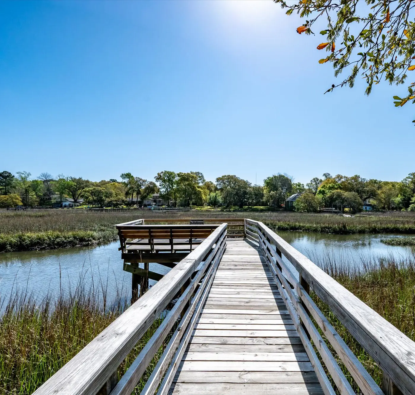 Modern, Dog-Friendly Marsh Retreat