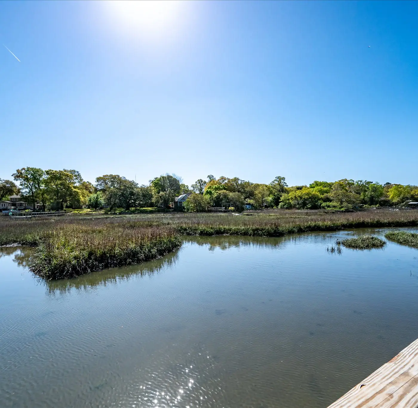 Modern, Dog-Friendly Marsh Retreat