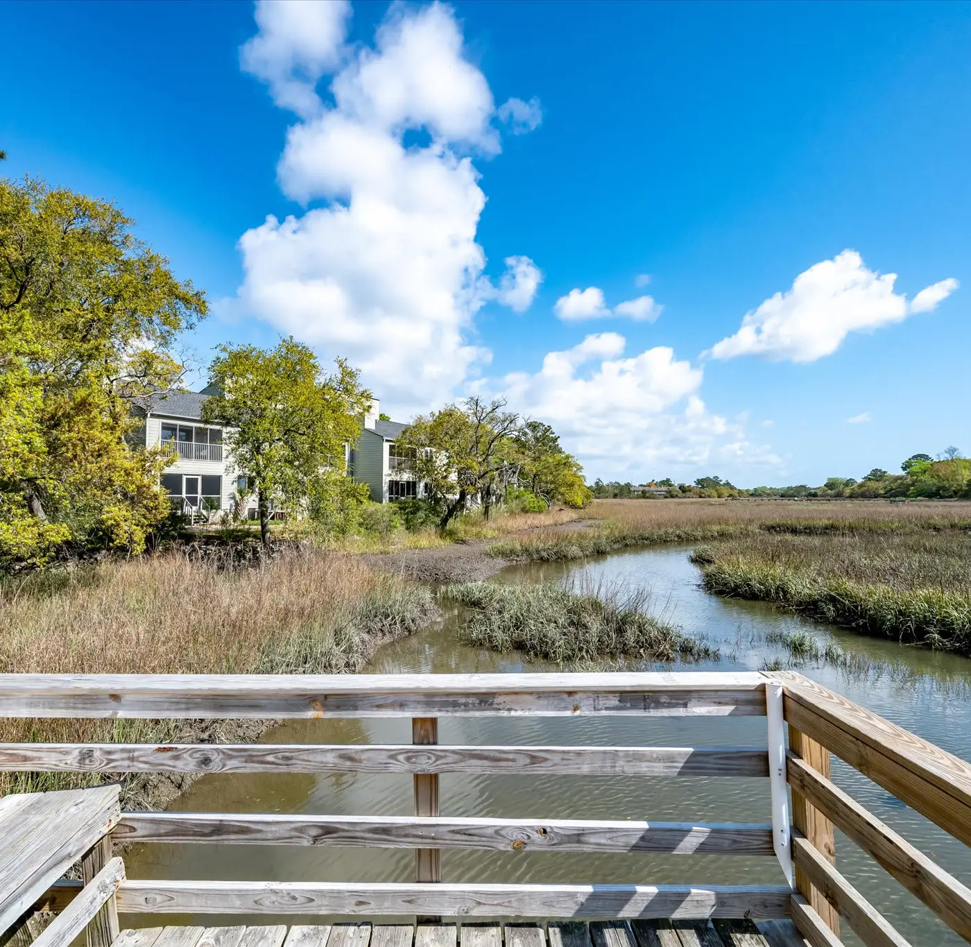 Modern, Dog-Friendly Marsh Retreat