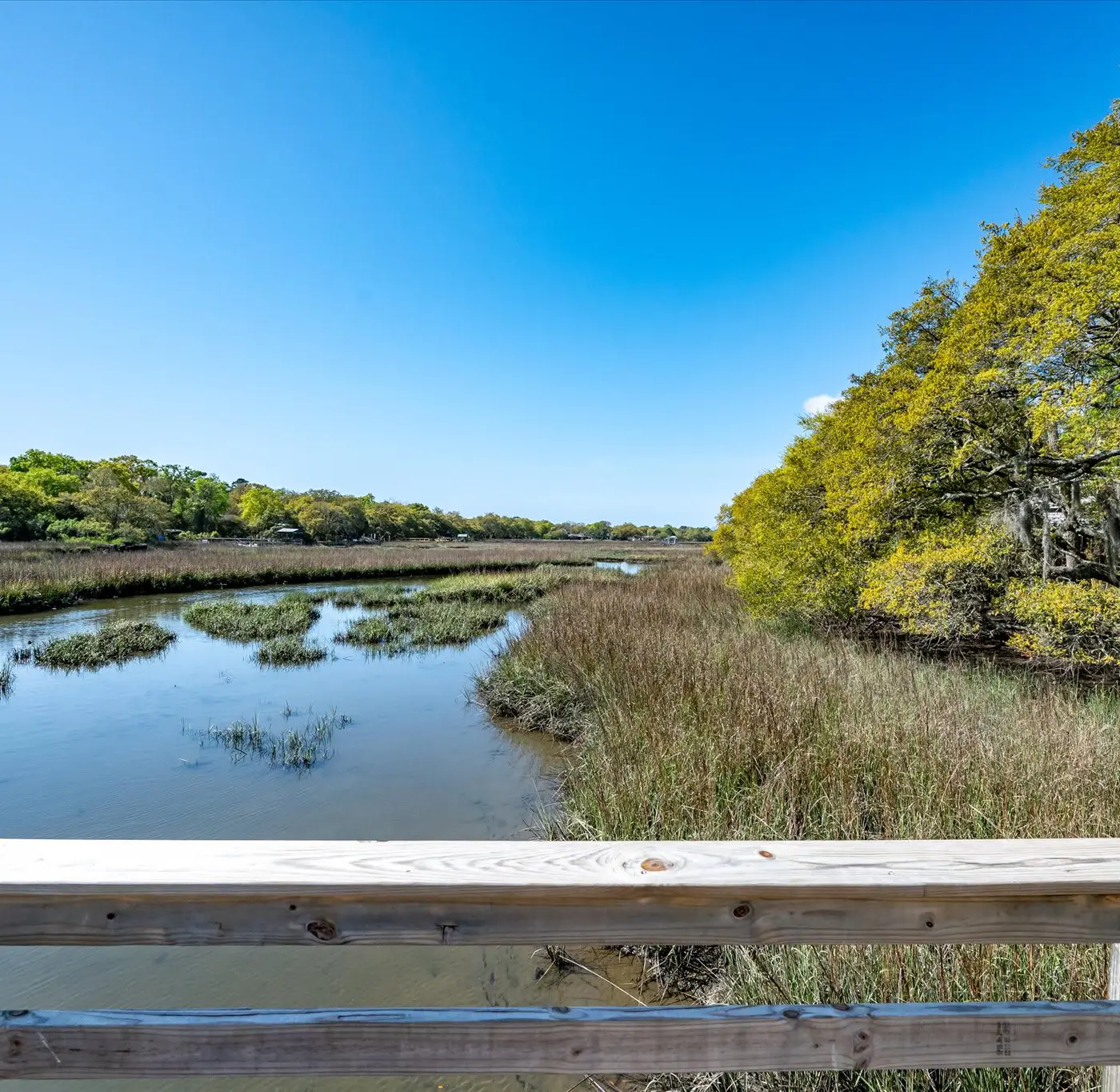 Modern, Dog-Friendly Marsh Retreat