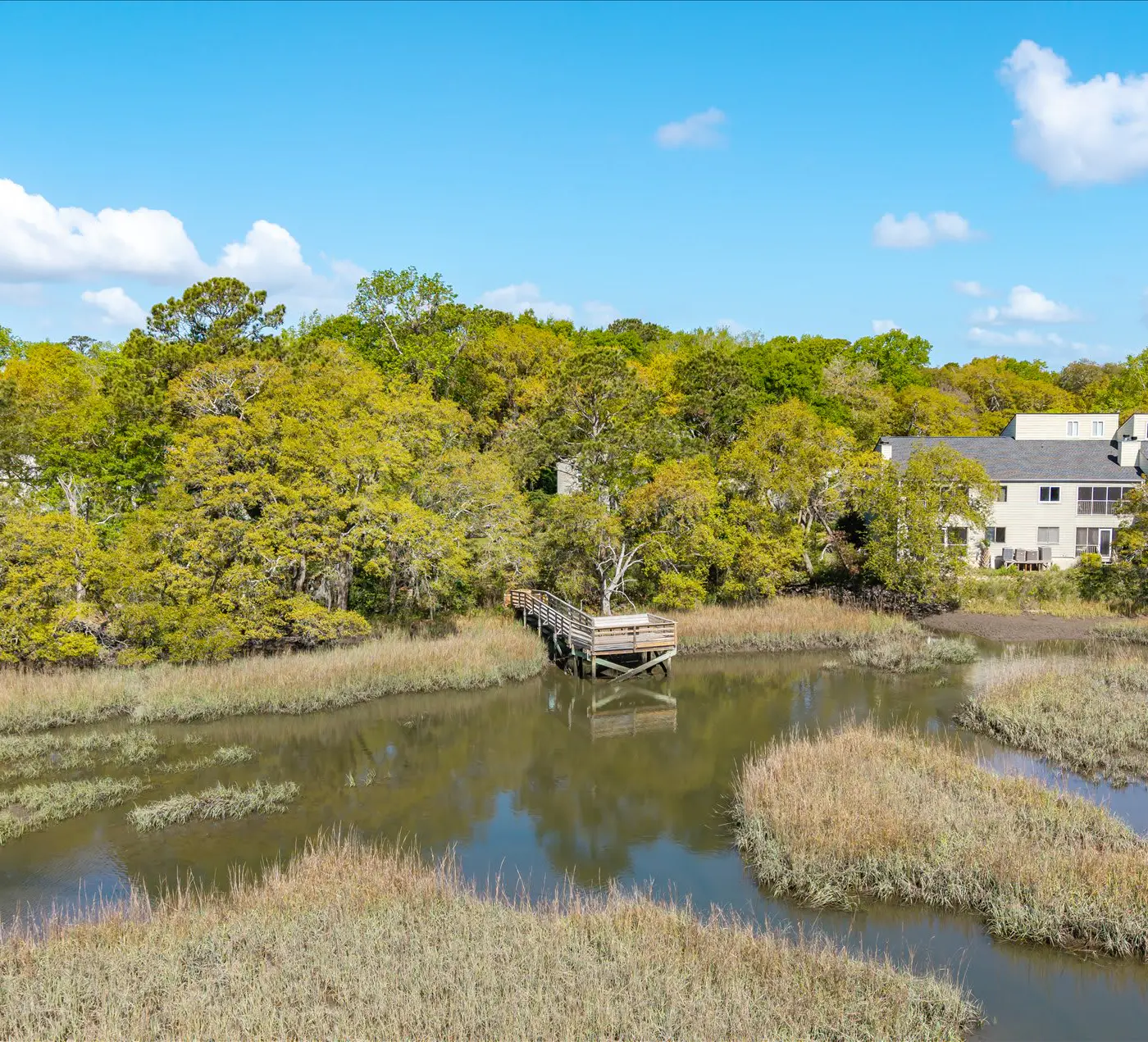 Modern, Dog-Friendly Marsh Retreat