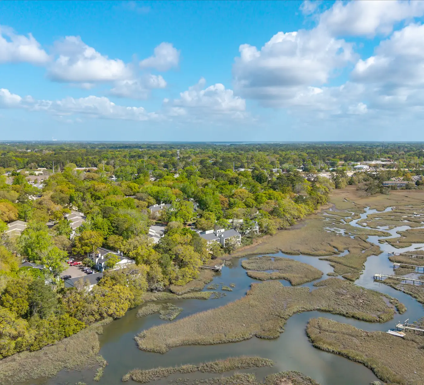 Modern, Dog-Friendly Marsh Retreat