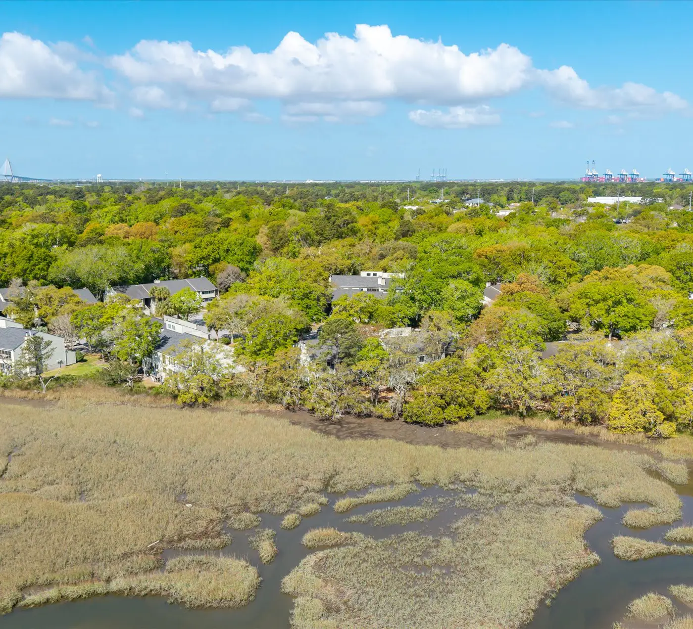 Modern, Dog-Friendly Marsh Retreat
