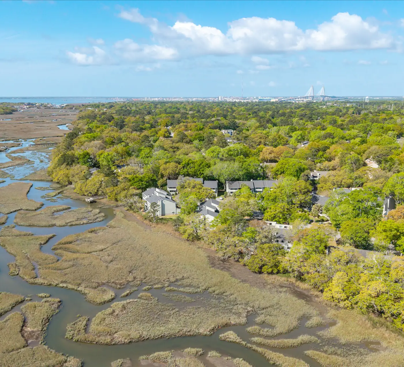 Modern, Dog-Friendly Marsh Retreat