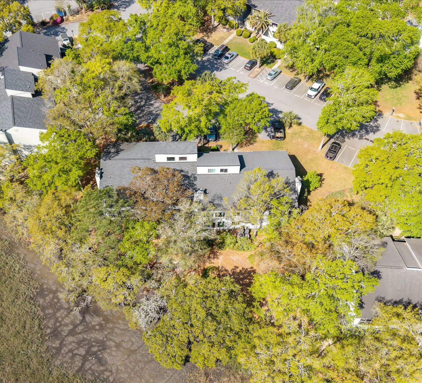 Modern, Dog-Friendly Marsh Retreat