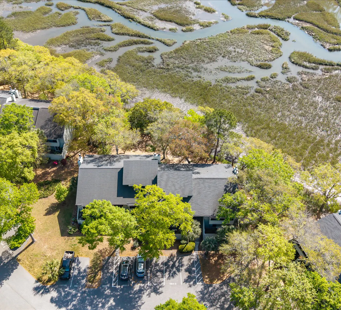 Modern, Dog-Friendly Marsh Retreat