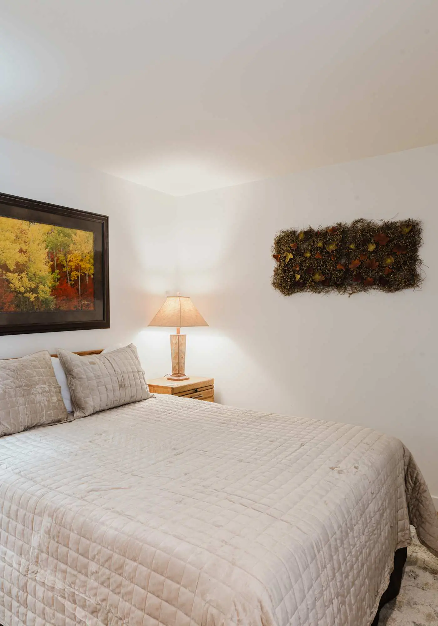 3BR Townhouse Near SHARC & Village - Dog Friendly