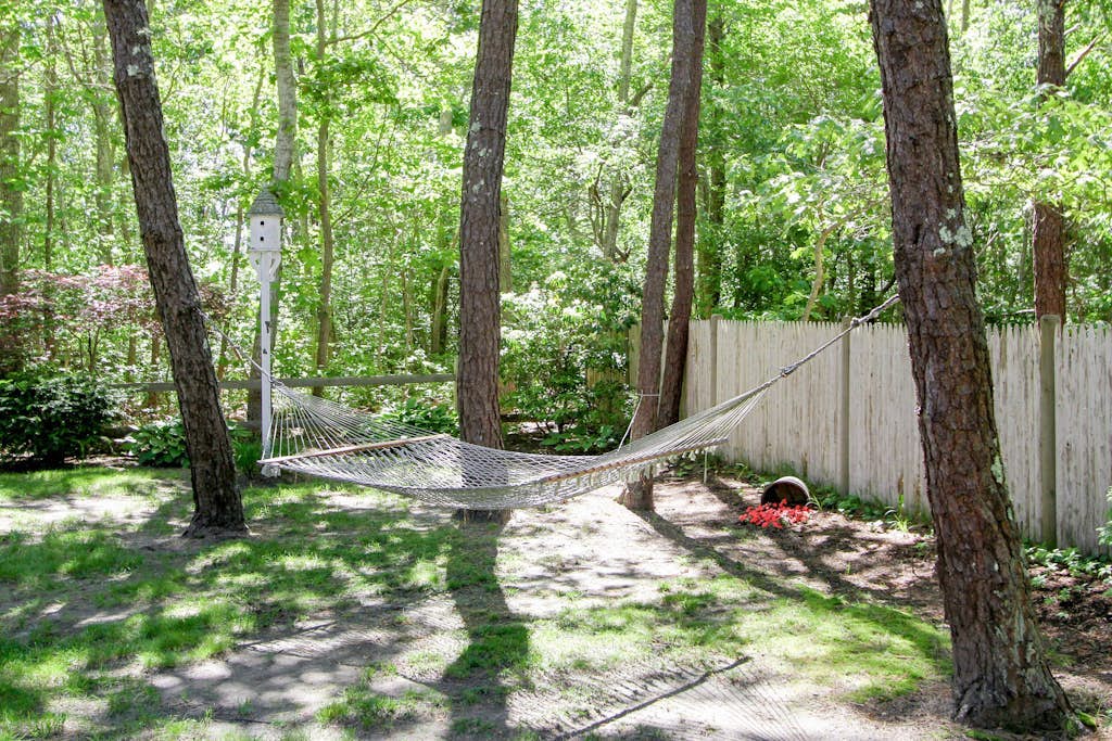 Coastal Retreat w/ Sunroom & Yard – Walk to Private Beach & Harwich Port