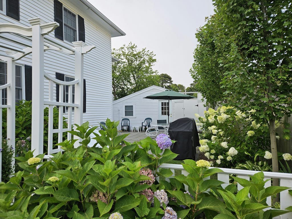 Bright spacious downtown home w/ guest house; walk to beach & lighthouse