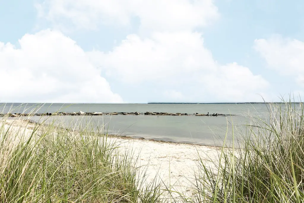 Falmouth Beachtown Getaway