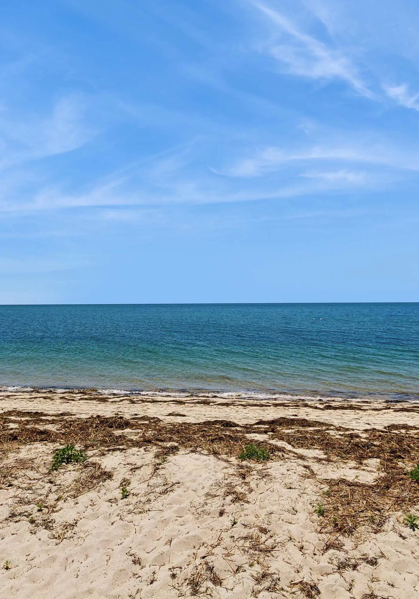 Sandbars Inn #5
