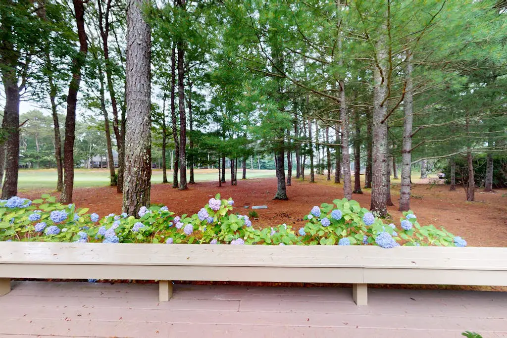 New Seabury Oasis