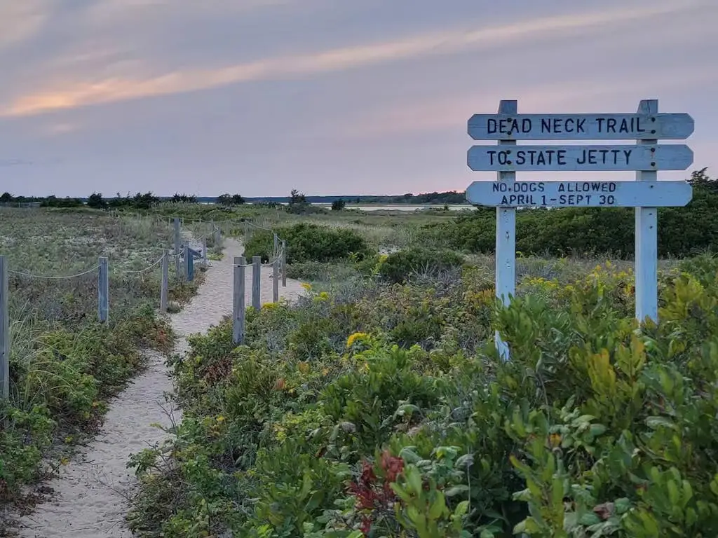 New Seabury Oasis