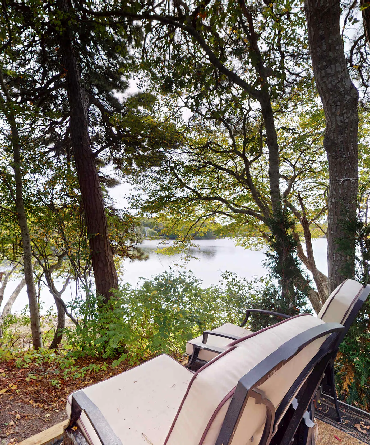 Long Pond Lookout