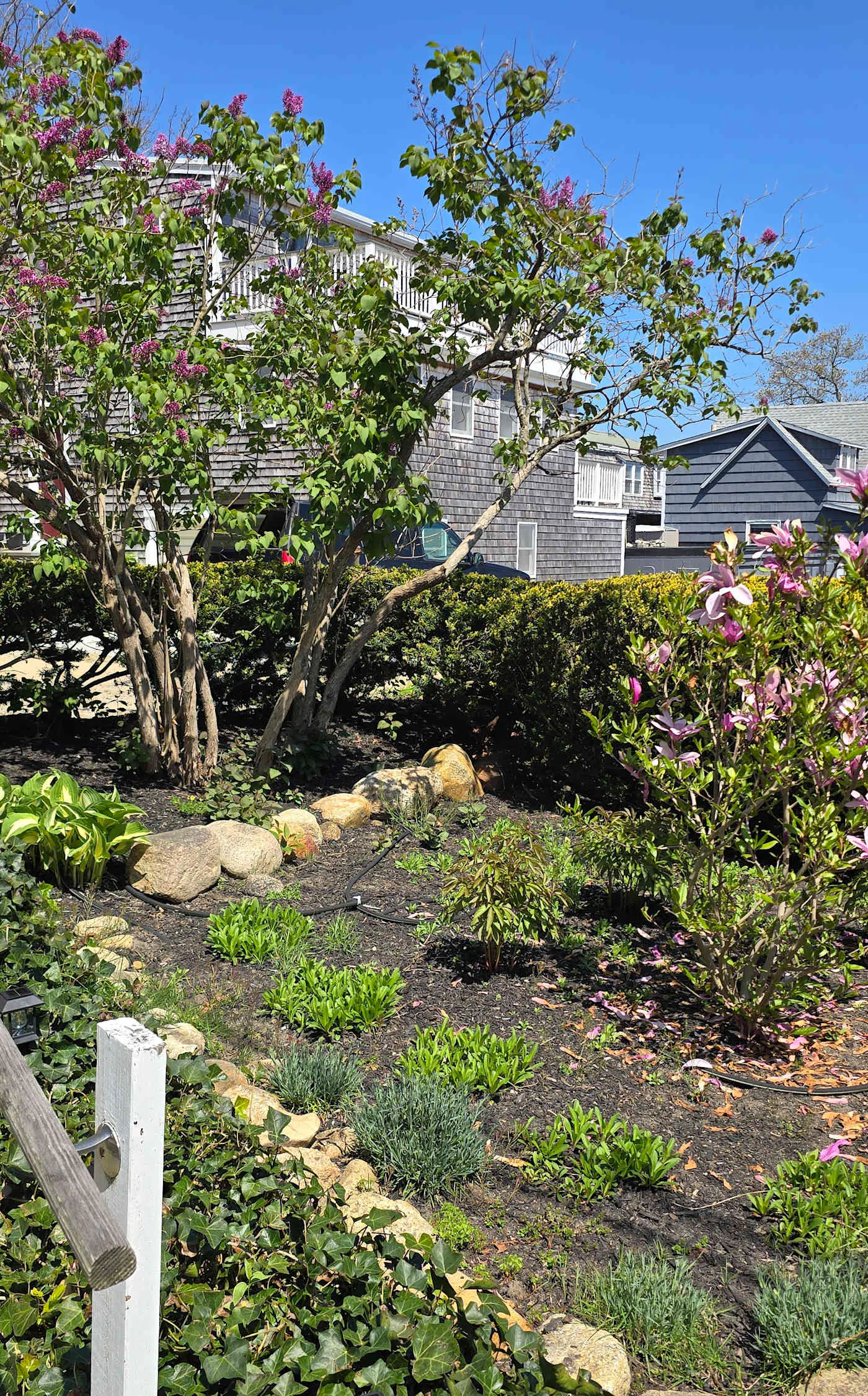 Pilgrim Cottage