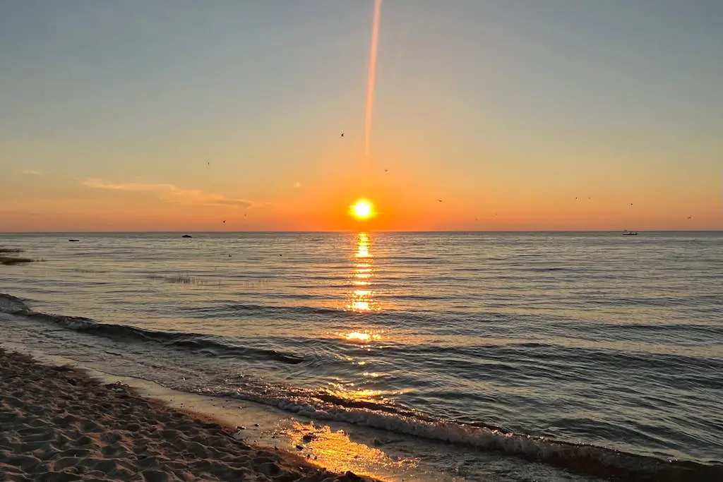 Sand, Shells & Sunsets