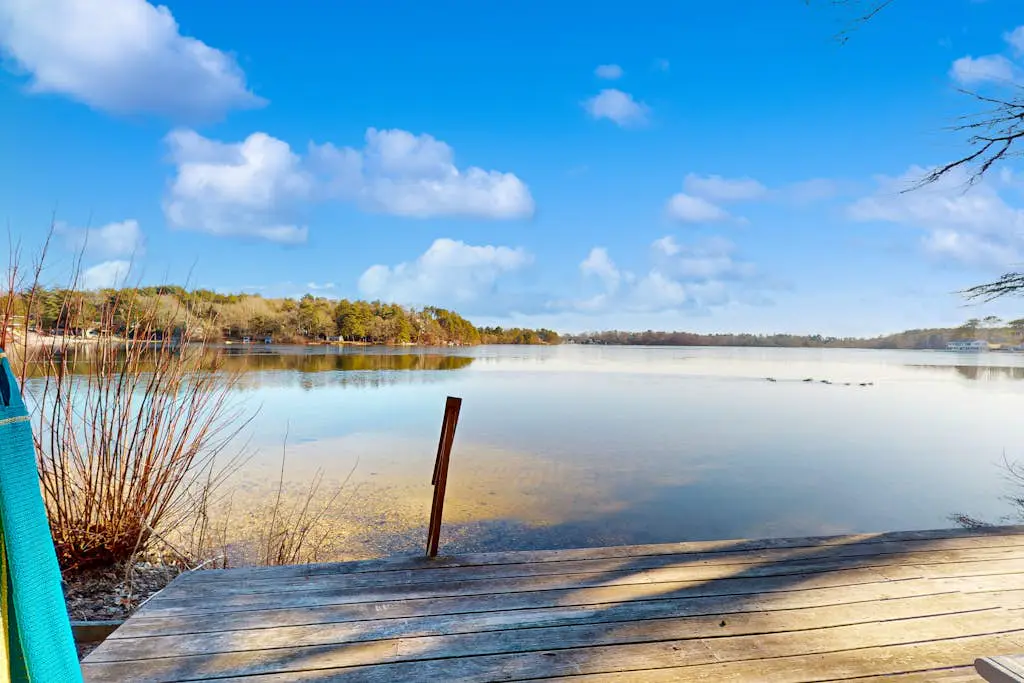 Shoreline Splendor