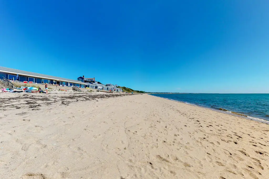 Sand & Beach Within Reach