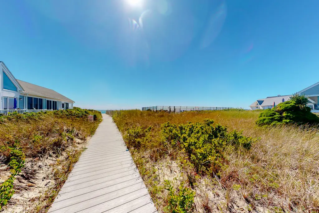 Sand & Beach Within Reach