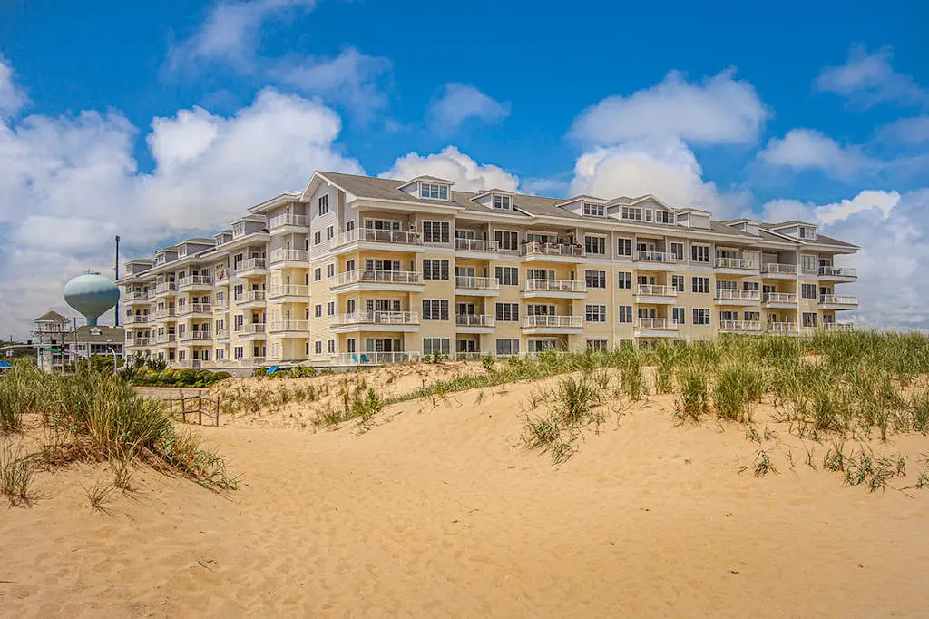 The Sandbridge Dunes - Katz Meow 204