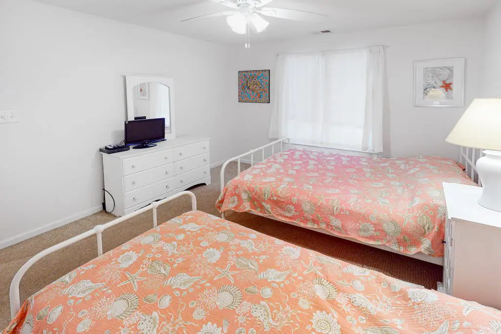 Seaside C103- Sand Dollar