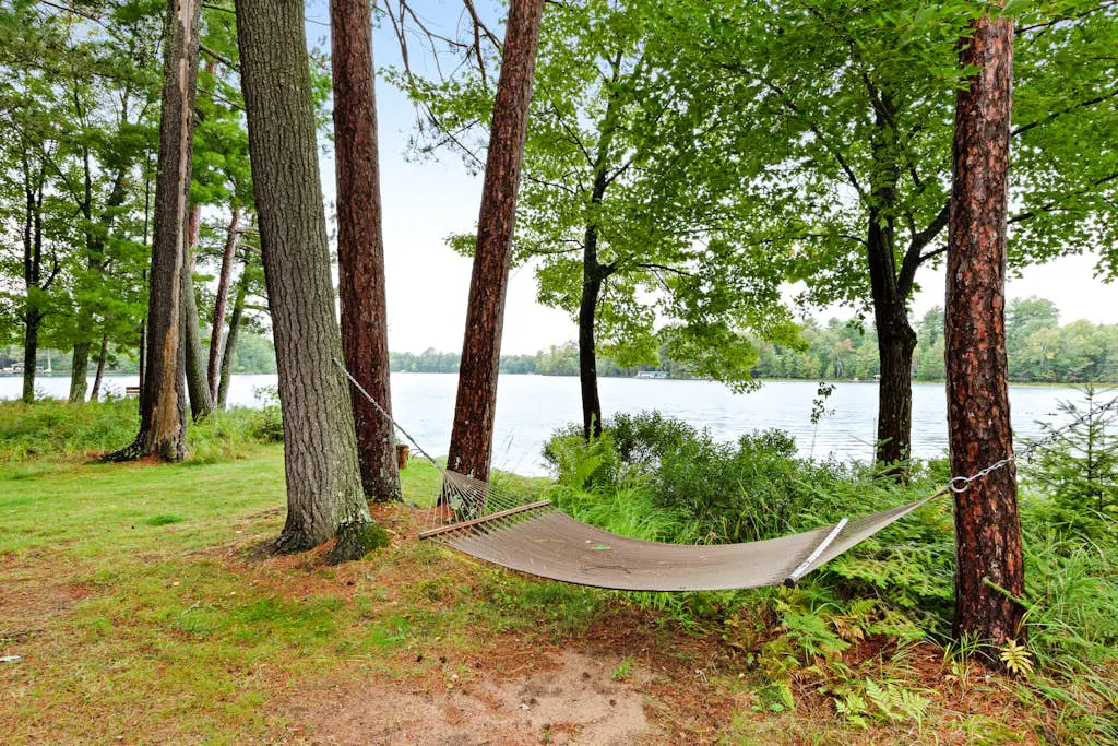 A Voyageur View