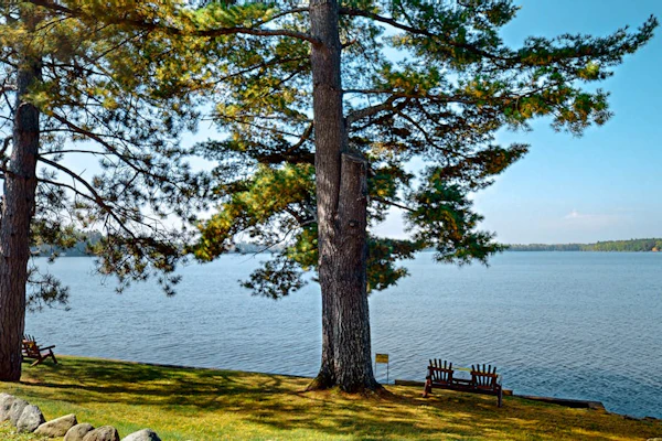 Lakefront resort retreat with screened porch, fireplace, pool, marina, & dining