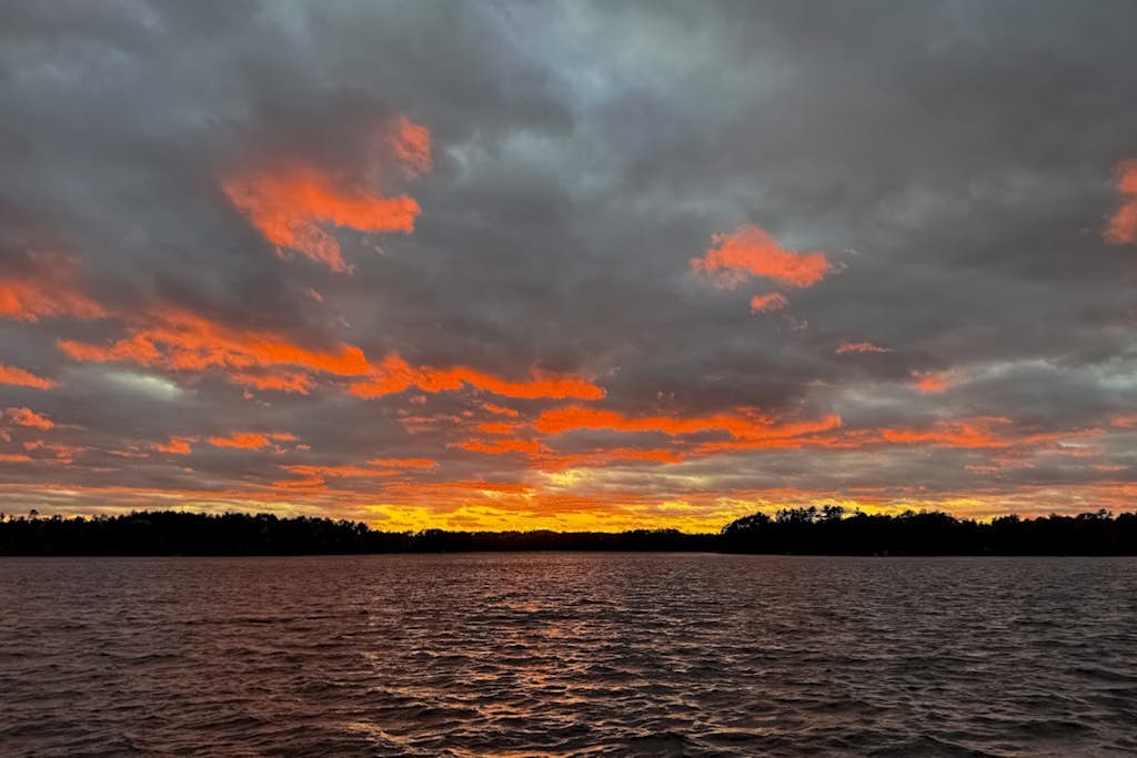 Cozy, Peaceful, Lakefront Retreat with Private Walking trails, Fire pit, & More