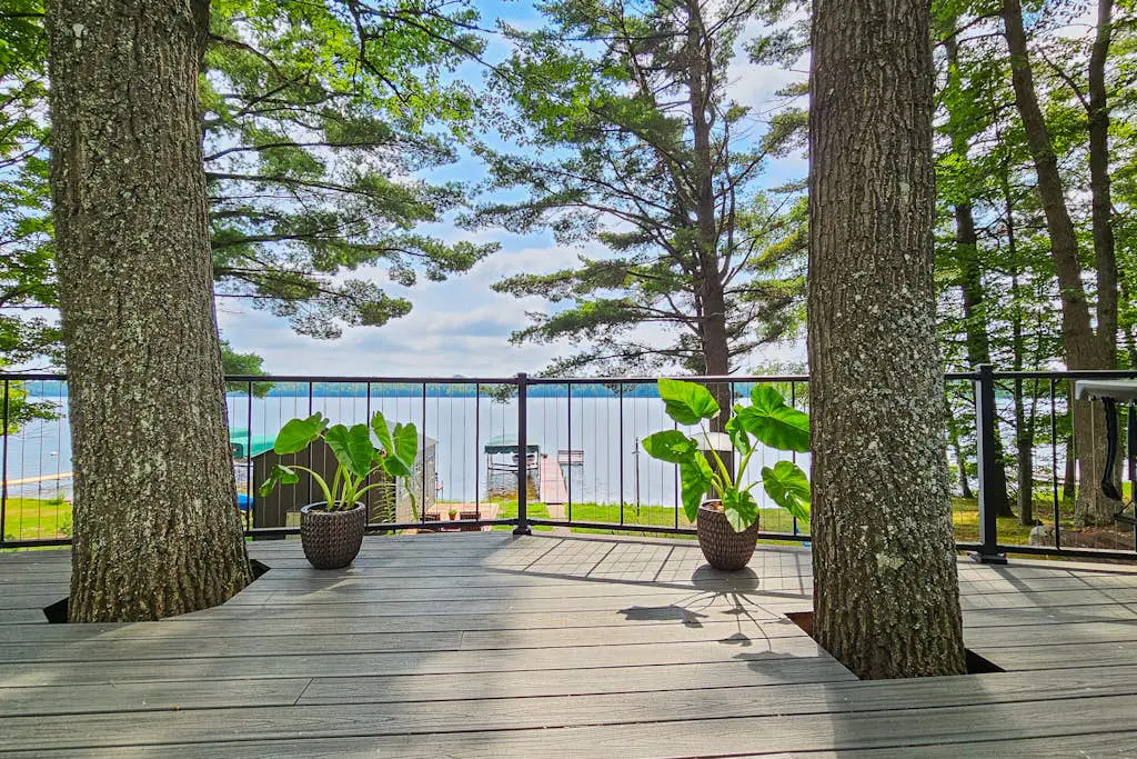 Artist's Cove