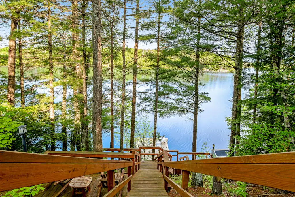 Loon's Landing