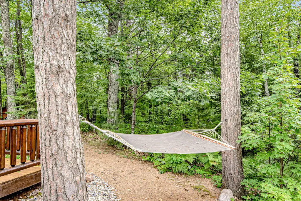 Carroll's Cabin
