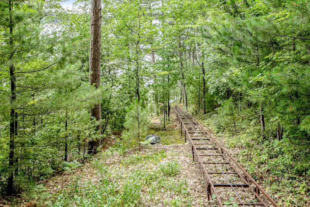 Carroll's Cabin