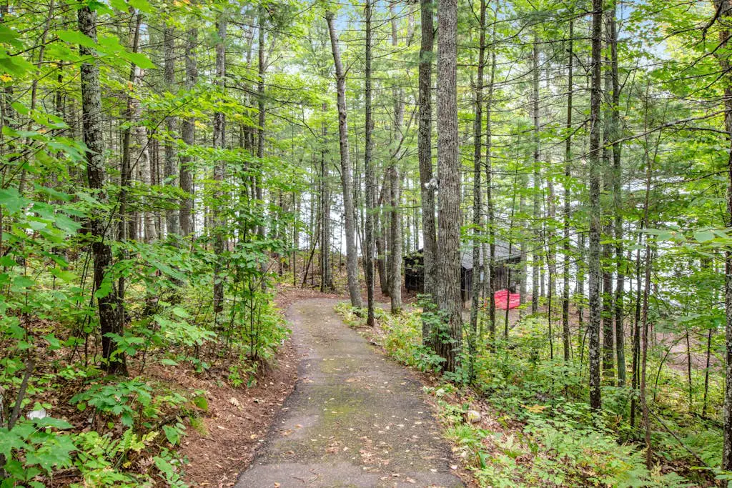 Bear Pause Retreat & The Stone House