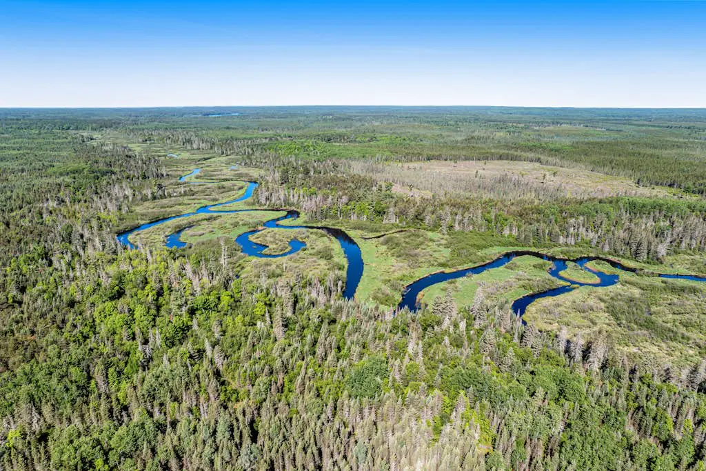 The Wilderness
