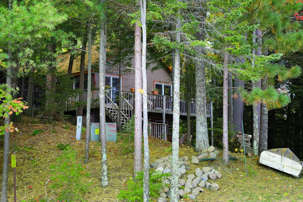Lakefront dog-friendly retreat with sauna, dock, canoe, paddle board, & firepit