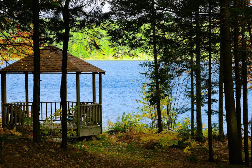 Lakefront dog-friendly retreat with sauna, dock, canoe, paddle board, & firepit