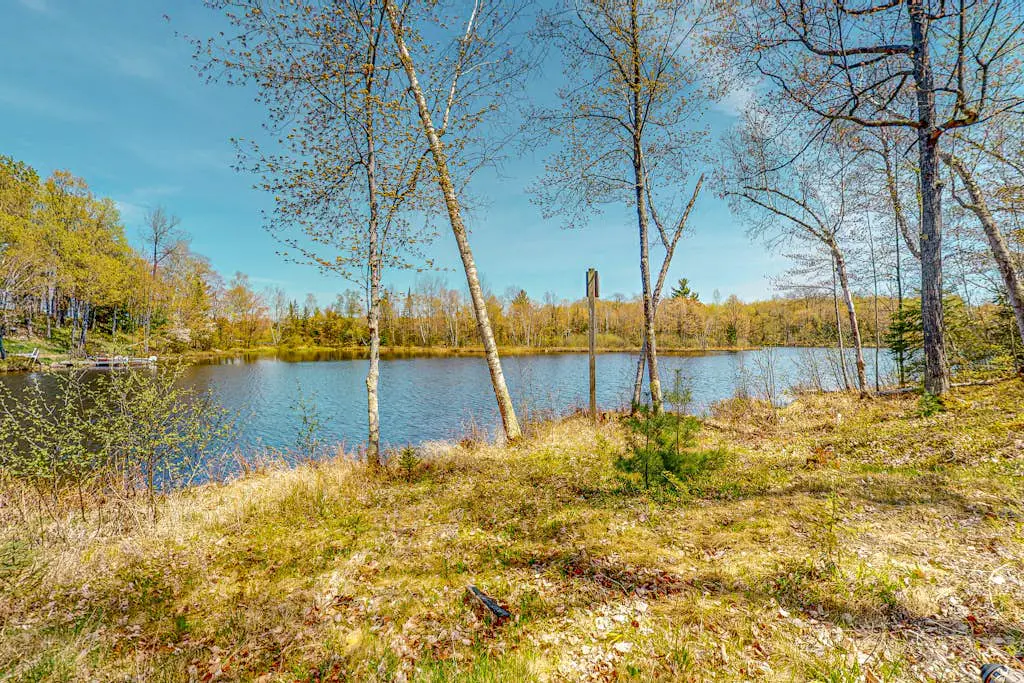 Bright Birch Cove