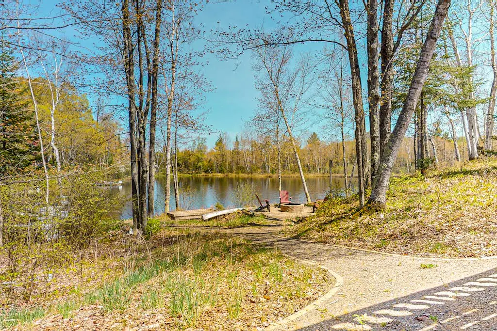 Bright Birch Cove