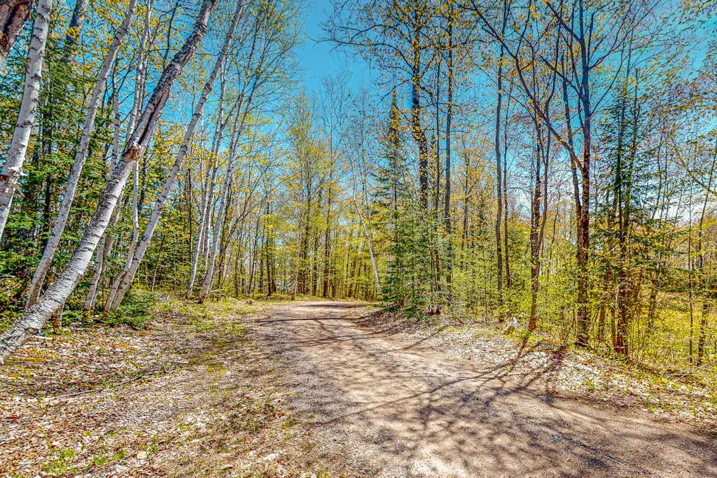 Bright Birch Cove