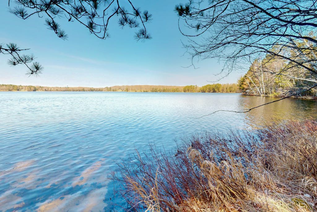 Lakefront, dog-friendly home w/ private dock ,fire pit & a beautiful lakeview!