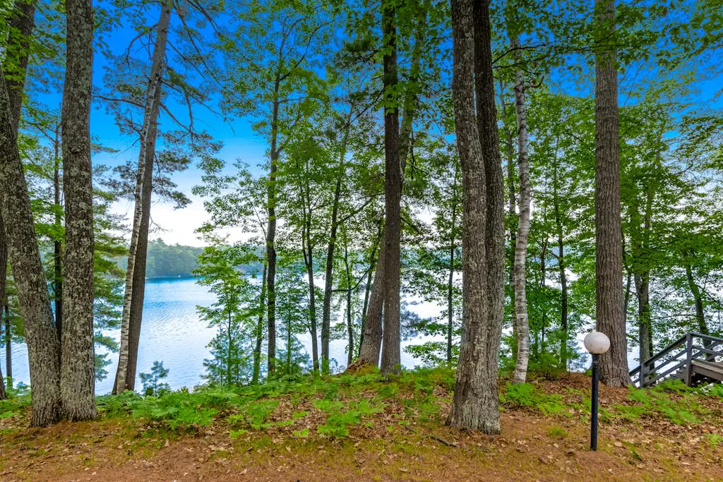 Our Lakeside Legacy