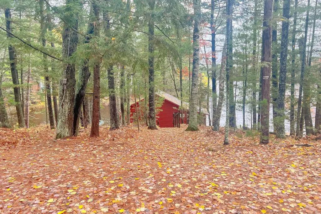 Little Red Lakeside Cabin