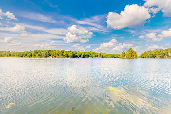 Beautiful Lakefront Cabin with a Private Dock, Firepit, and Large Yard!