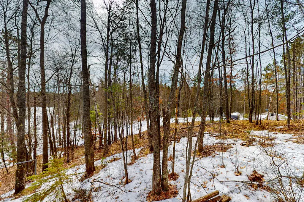 Hook and Haven & Woodland Pines Cabins