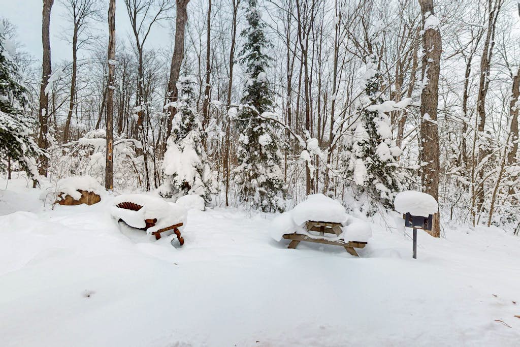 Cozy cabin w/ fireplace, whirlpool tub, access to private dock, & fire pit