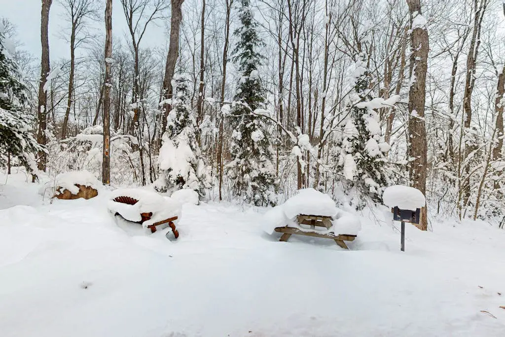 Balsam Ridge Cabin 2- Wolf