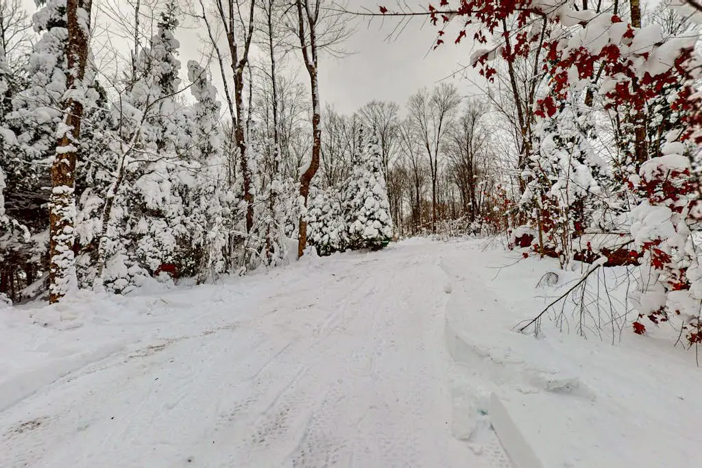 Balsam Ridge Cabin 2- Wolf