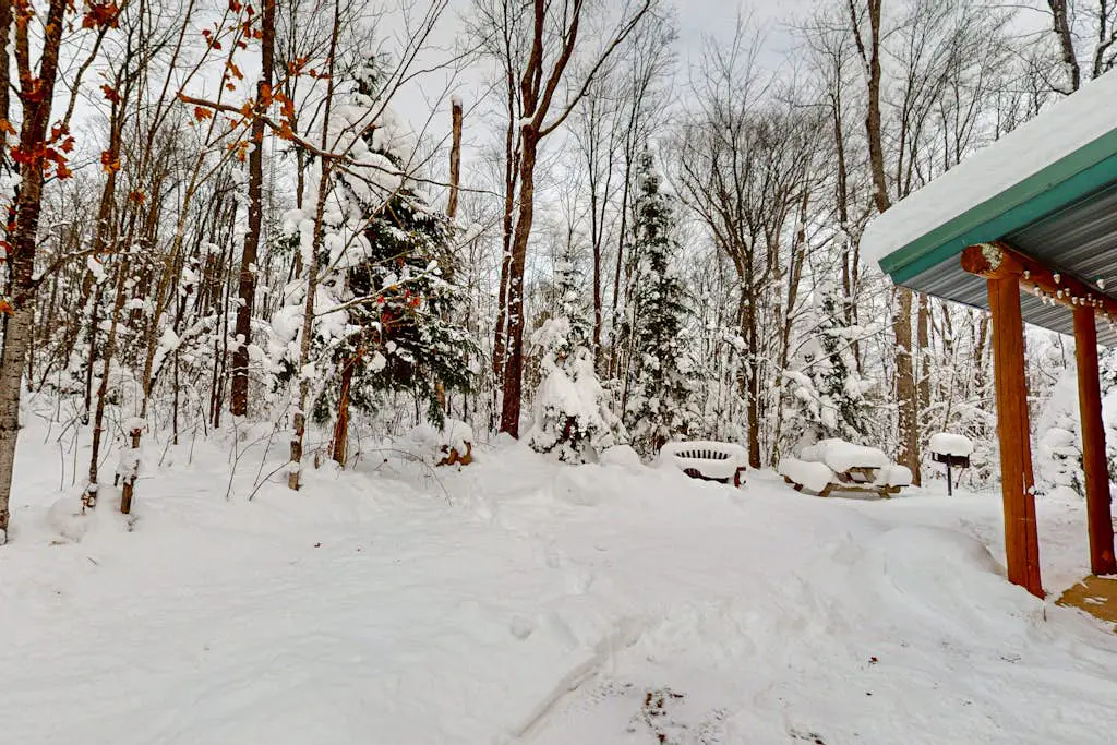 Balsam Ridge Cabin 2- Wolf